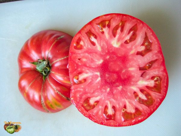 brandywine pink