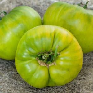 AUNT  RUBY'S GERMAN GREEN
