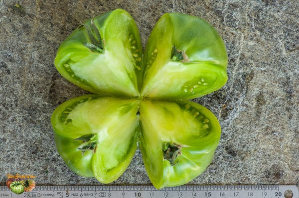 AUNT  RUBY'S GERMAN GREEN - Image 7