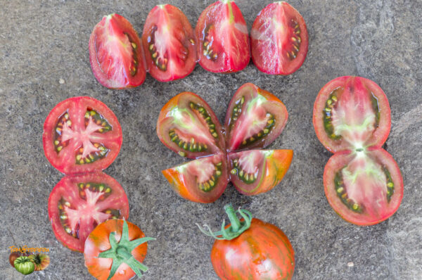 cal red and green