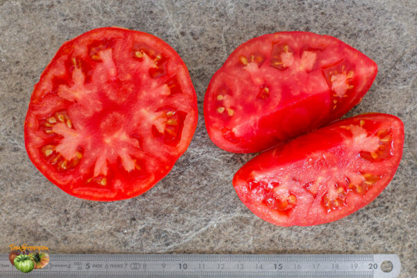 CANABEC ROUGE - Image 5