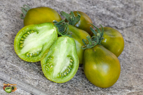 cherokee green pear