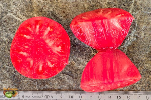 GERMAN RED STRAWBERRY - Image 4