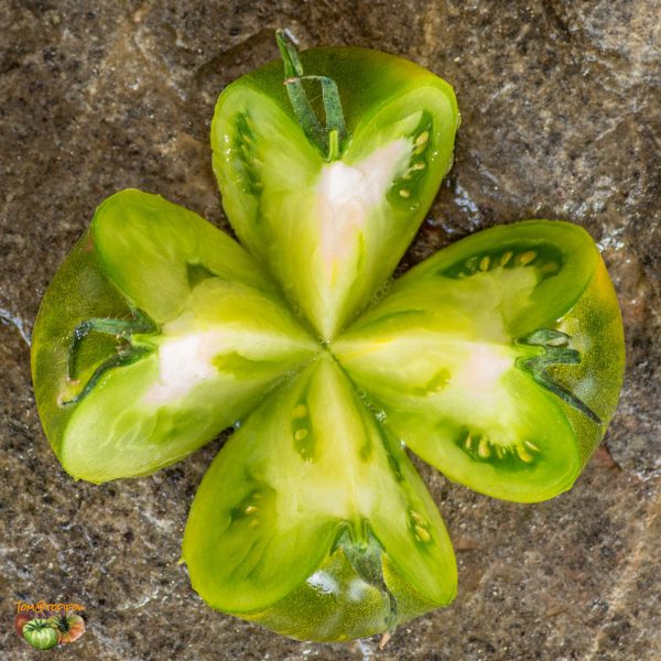 GREEN DIAMOND - Image 7