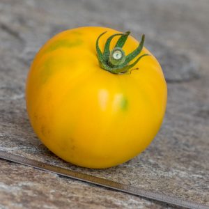 HARTSACK YELLOW