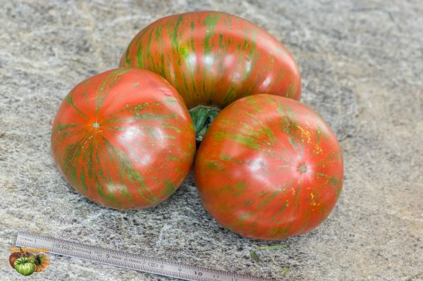 IRISH STRIPES - Image 3