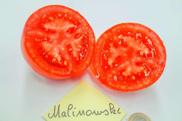 malinowski