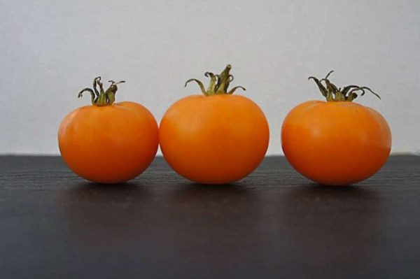 patio orange
