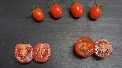 RAISIN ROUGE
