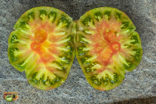 ANANAS ZEBRA - Image 8
