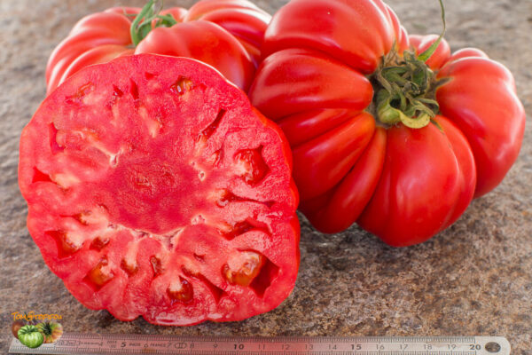 BISTECCA PIERINA