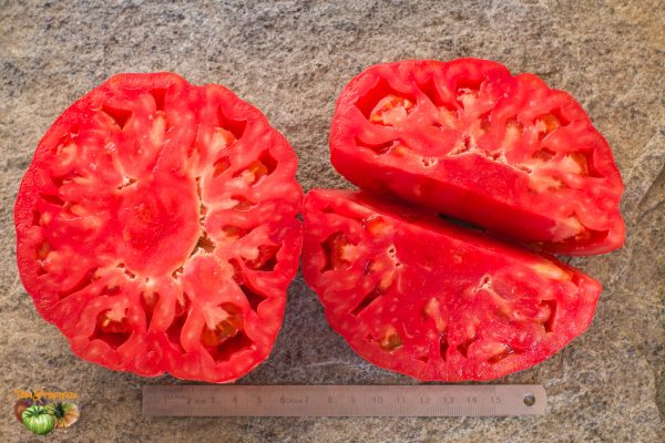 BISTECCA PIERINA - Image 8