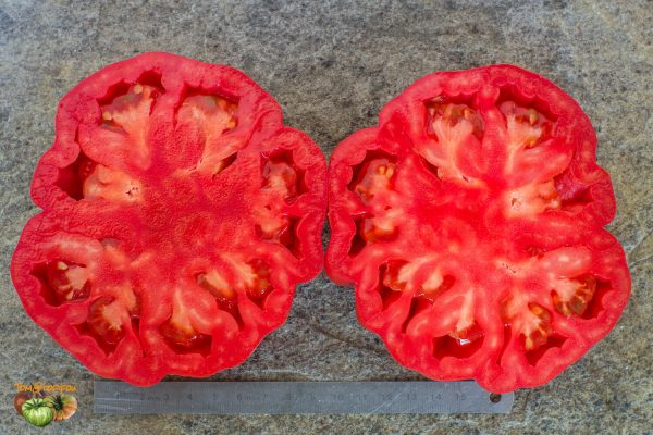BISTECCA PIERINA - Image 7