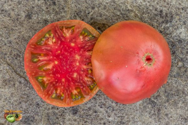 NOT PURPLE STRAWBERRY - Image 7