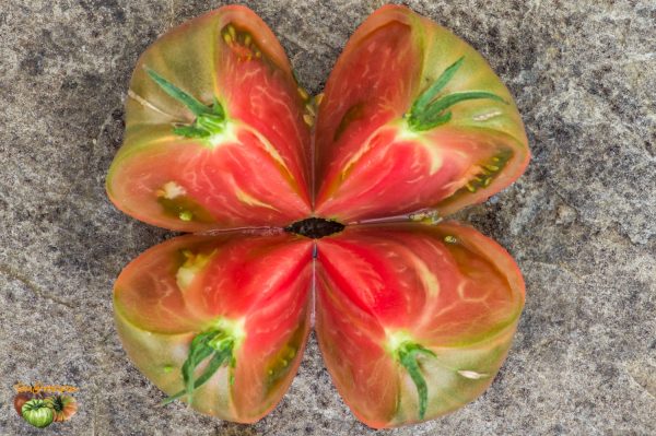 NOT PURPLE STRAWBERRY - Image 8
