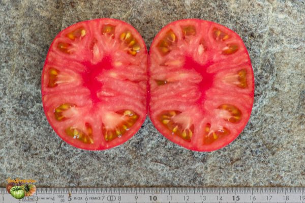 ROSELLA CRIMSON - Image 6
