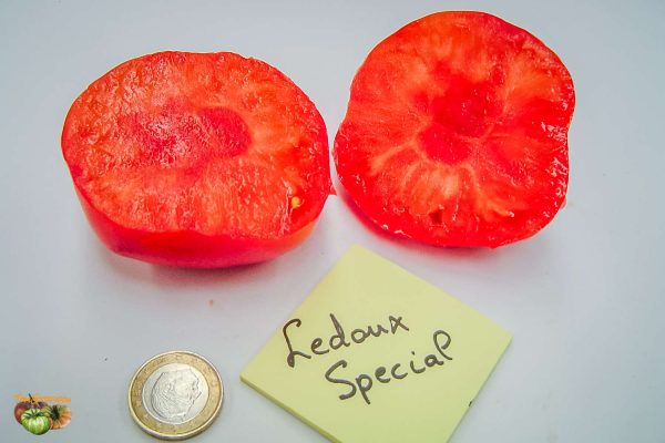 ledoux special
