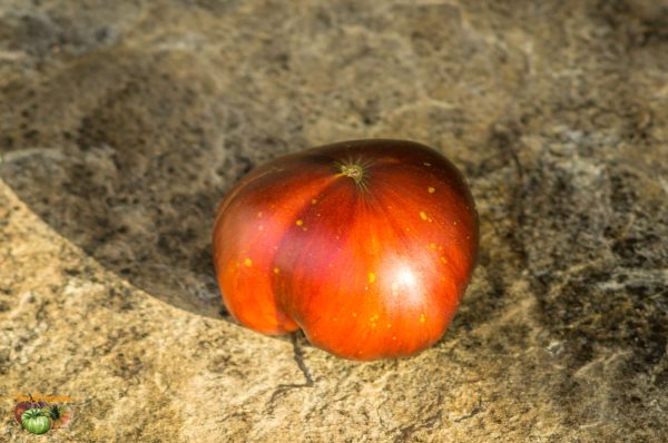 RED BEAUTY - Image 3