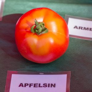 APFELSIN