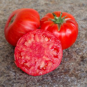 TOMATE DE VERS