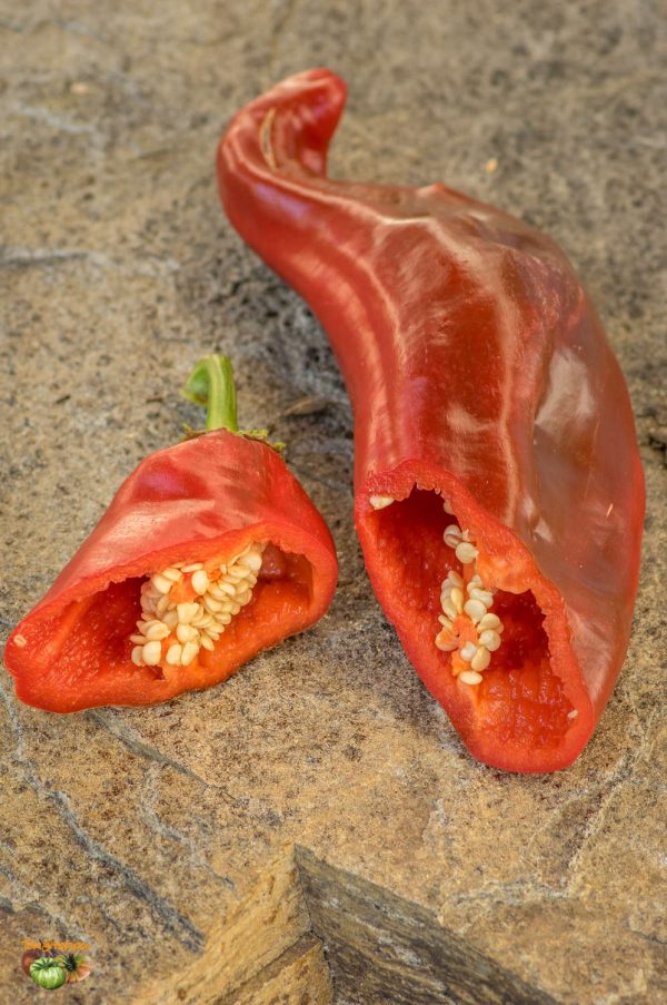 NuMEX SWEET - Image 5