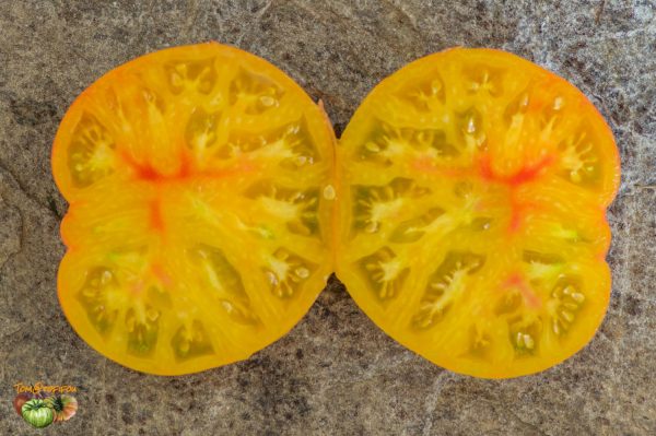 WHEROKOWHAI - Image 4