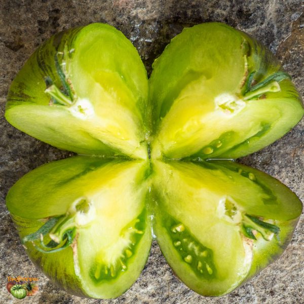XANADU GREEN GODDESS - Image 8