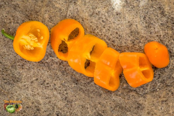 YUMMY SWEET PEPPER - Image 5