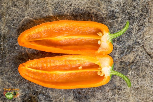 YUMMY SWEET PEPPER - Image 8