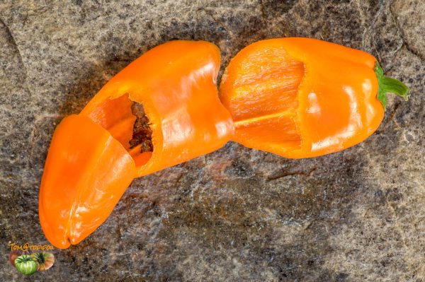 YUMMY SWEET PEPPER - Image 6