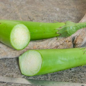 LOUISIANA LONG GREEN