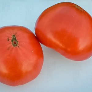 COEUR DE BOEUF HONGROIS