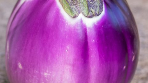 PROSPEROSA