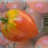 MARGARETO  - МАРГАРЕТО - Image 5