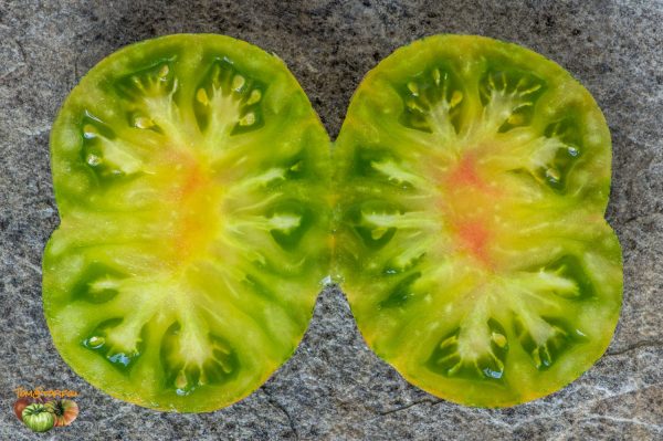 ANANAS ZEBRA VERTE -GREEN ZEBRA PINEAPPLE - Image 8