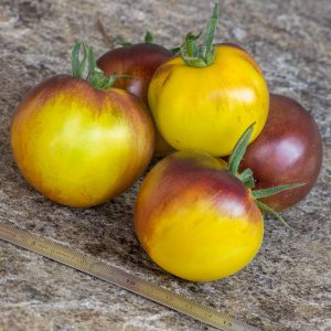 SHOKOLADNIY MARMELAD
