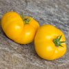 KAZAKHSTAN  YELLOW - KAZAHSTANSKIJ ZHYOLTYJ