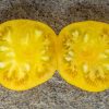 KAZAKHSTAN  YELLOW - KAZAHSTANSKIJ ZHYOLTYJ - Image 5