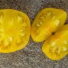 KAZAKHSTAN  YELLOW - KAZAHSTANSKIJ ZHYOLTYJ - Image 7