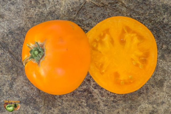 MANDARIN CROSS - Image 4