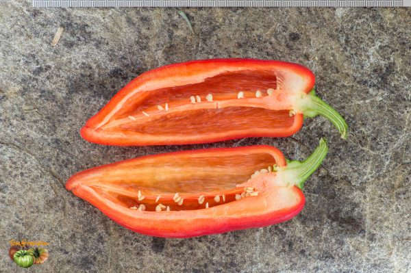ROSSO DUEMILA - Image 5