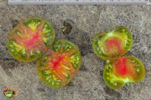 SPUD VIPER - Image 5