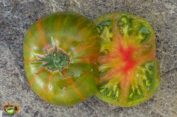 SPUD VIPER - Image 6