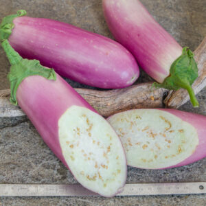 kashmiri brinjal