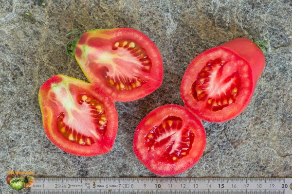 POIRE ROSE - Image 6