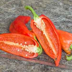 BLANCO BALCANES