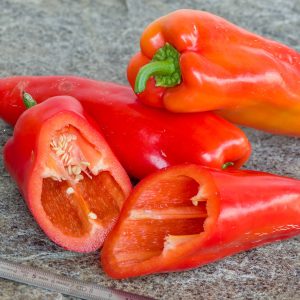 GYPSY PEPPER