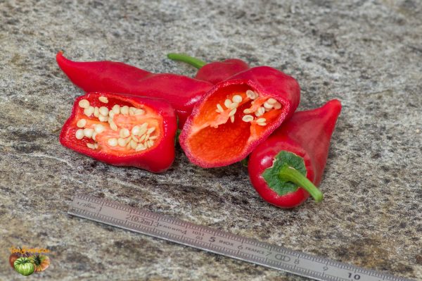 PIMENT de BRESSE