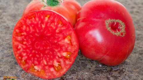 TRIPLE CROP HEIRLOOM