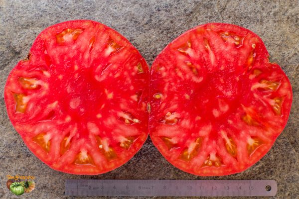 TRIPLE CROP HEIRLOOM - Image 6